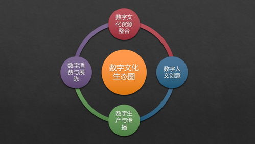 張曉明 跨越新文創(chuàng)時代專業(yè)鴻溝，構(gòu)建數(shù)字文化生態(tài)圈